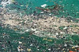 美卫星拍下比印度还大的“海上巨兽”画面，人类或将无法生存？图片