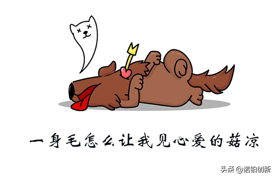 超光速脱毛对毛周角化