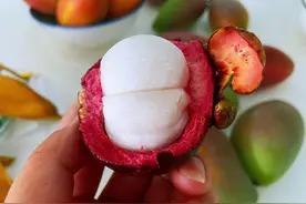 山竹分1A到6A的区别，分别代表什么意思？几A的山竹好？图片