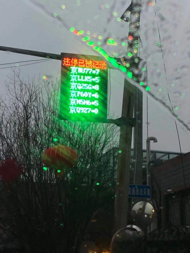 珠珠花胶坊 2026年珍珠花胶图片