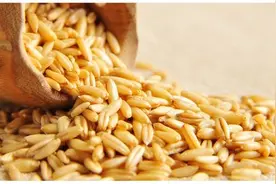 若钱包允许，建议给家人吃这5种大米，好吃又美味，家人都喜欢图片