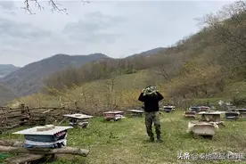 老蜂农经验分享：蜂群越冬失败的根本原因并非低温，而是食物不足图片