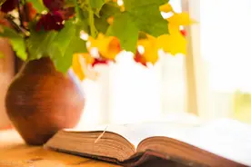 28岁生日礼物收了个LV的包，我老板米姐送的，简直太震惊了图片