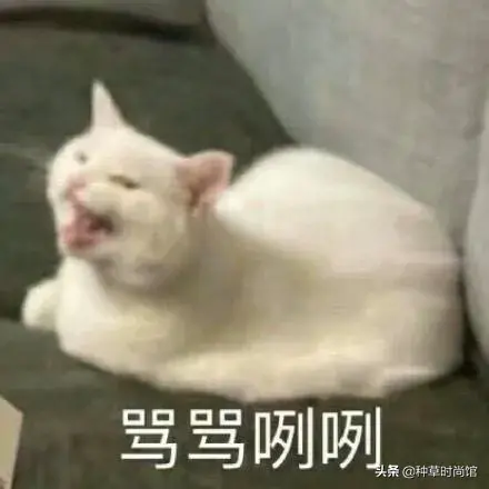 浣犵殑娲楅潰濂朵笂榛戝悕鍗曚簡鍚楋紵杩?娆惧埆涔帮紝浼氱儌鑴? onerror=