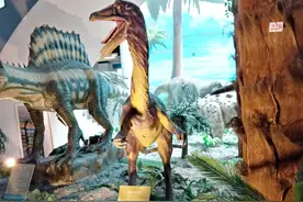 左右看沈阳 之辽宁古生物博物馆-恐龙图片