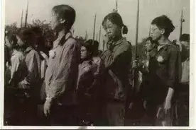 五十年前两百万支枪，一万门大炮流落民间，掀起禁枪风云图片