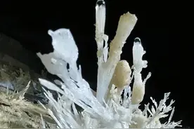 贵州又一石花洞穴重大发现，与钟乳石洞穴不同，精美石花惊艳路人图片