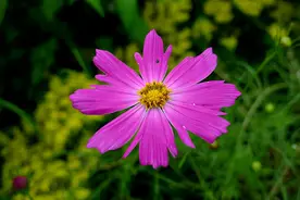 退休后的社交潜规则：尽量不去麻烦别人图片