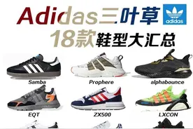 Adidas阿迪达斯全系列鞋型大汇总（三叶草篇上）图片