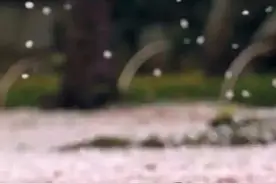 碎碎念。风起的日子图片