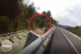 不应该！老人高速捡拾柴火，暖人心！交警“担夫”一路护送图片