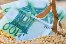 中国粮食保卫战（三）绝地反击图片
