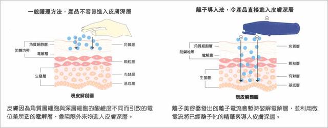 身体乳张凯毅平价