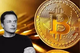 那些一夜亏光200万的人，来现身说法了图片