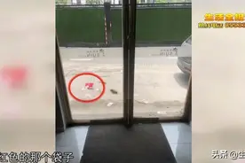 一城好人丨天降“钞票雨”，他们是这样做的图片
