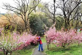 江苏摄影大咖春聚邳州，张张照片正能量（18）图片