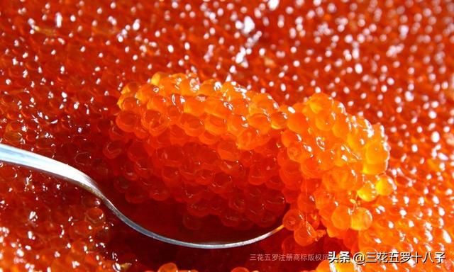 大马哈鱼籽第一次吃有点腥！第二次吃有点咸！随后一直都想吃