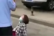 突击检查！石家庄整治不文明养犬行为，女子遛狗不栓绳被罚躺地哭喊：我有绳图片