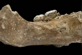 又发现了一个新人种！东南亚发现古人类化石，曾和现代人类杂交图片