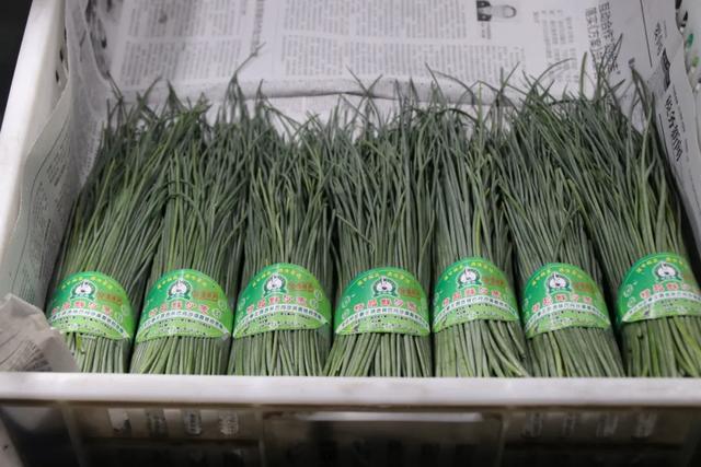 50元一斤！亏100多万也要种的“天价”葱，真的赚钱吗？