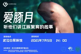 “江猪”居然“上岸”了？来武汉江宸天街与微笑精灵合影，7 月 5 日不见不散！图片