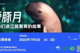 “江猪”居然“上岸”了？来武汉江宸天街与微笑精灵合影，7 月 5 日不见不散！图片