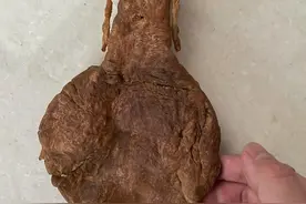 鱼胶界的劳斯莱斯：金钱鳘鱼胶为什么能排在第一，真有这么神奇吗图片