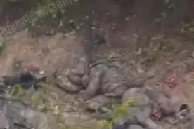 复仇！阿军步兵连遭伏击，机枪狂扫10分钟，60人尸体堆满山道图片