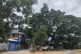 云南西双版纳曼飞龙古寨图片