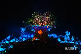 银基动物王国里穿越一场《奇境森林》的奇幻旅行图片