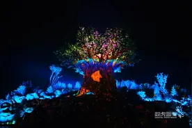 银基动物王国里穿越一场《奇境森林》的奇幻旅行图片