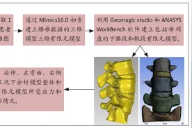 有限元模型建立青少年骶椎腰化的验证分析图片