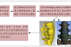 有限元模型建立青少年骶椎腰化的验证分析图片