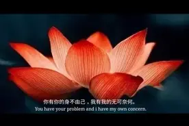 帕帕拉恰到底有什么样的魔力让无数收藏家前赴后继，难以忘怀？图片