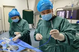 “小东西”解决“大问题” ——生死时速后Micra(无导线起搏器)拯救患者死亡边缘图片