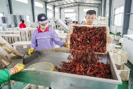 死掉发臭的小龙虾最后都到哪里去了？图片