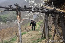河南深山小村美如一幅画，8旬老两口如同画中生活，待人热情真诚图片
