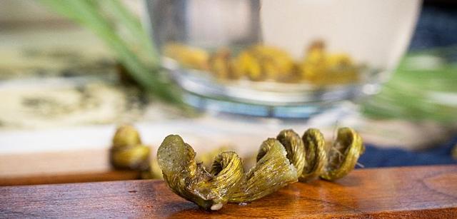 铁皮石斛适合什么人吃 2025年铁皮石斛适合什么人吃 7类人很适合