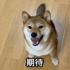 һֻҪǮ