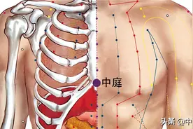 聚集任脉气血，宽胸理气，疏膈利气——中庭穴图片