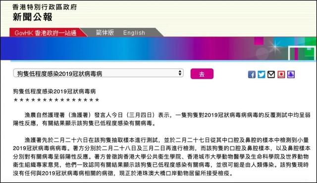 铲屎官速进！带你3分钟搞懂“弱阳性”