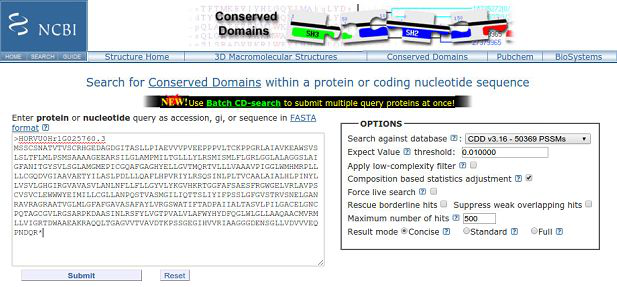 如何利用NCBI预测基因的结构域和保守位点