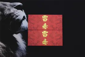 试水拼多多，百亿补贴的雷赤台式机内存，终身保固性能稳定没翻车图片