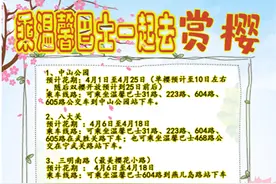 最新赏樱公交线路来啦！收好攻略坐着公交看花海图片