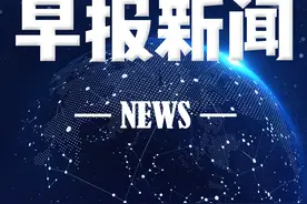 严打！青岛对“炒猪”和非法调运生猪等违法行为发布通告图片