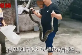 水库边惊现2.7米蟒蛇生吞活鸭，蛇身重达12斤，吓坏当地村民图片