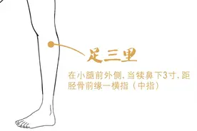 每天按按它，吃嘛嘛香，赶走消化不良！图片