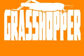 世界最恐怖的十大昆虫，光看就能把你吓疯，对于人类非常危险图片