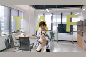 90后”海归创业瞄准宠物经济，研发宠物奶茶，秦岭深山土法养殖蜜蜂图片