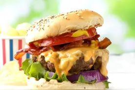 hamburger的前世今生图片